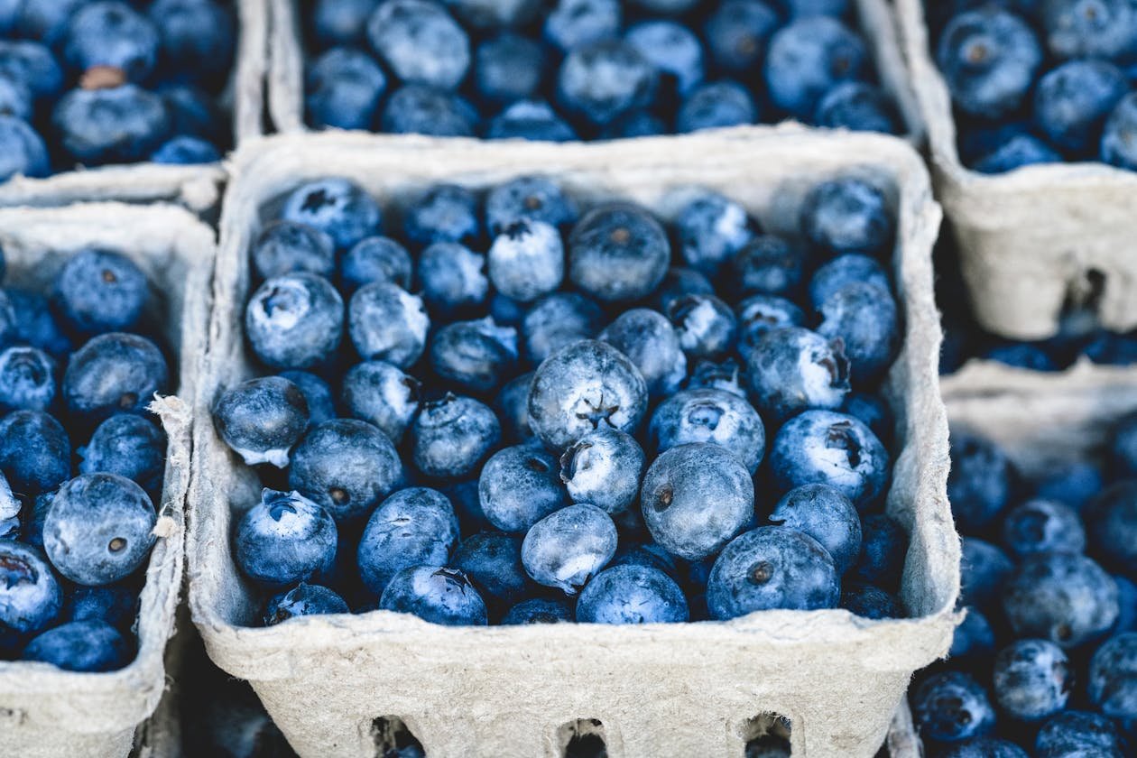 Fresh blueberries - bilberry anthocyanin source